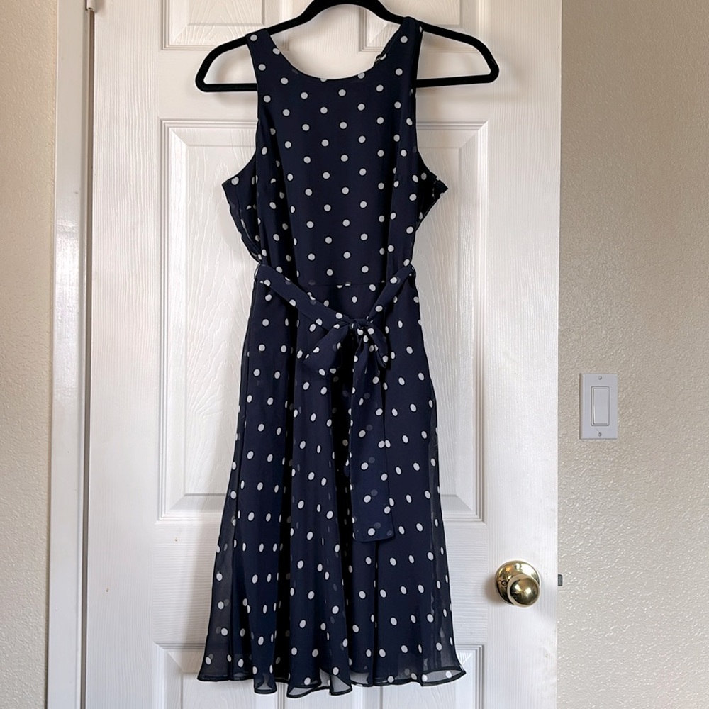 Banana Republic Navy Polka Dot Dress